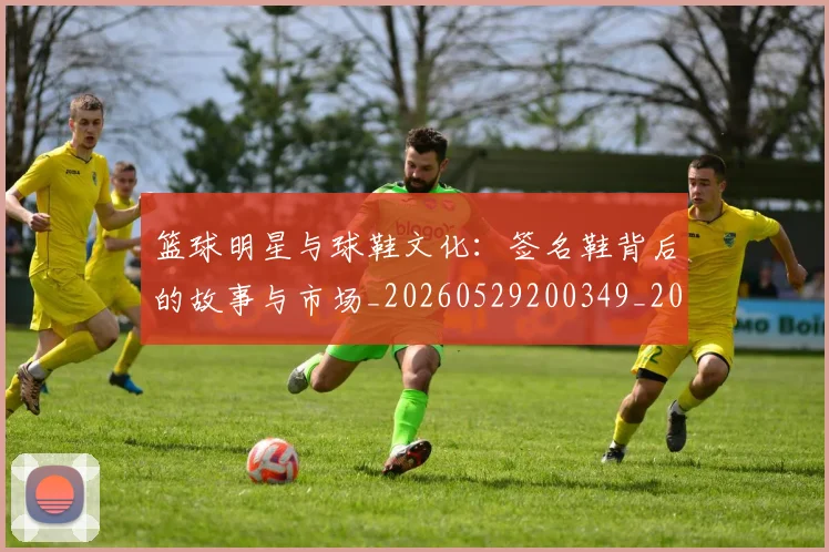 篮球明星与球鞋文化:签名鞋背后的故事与市场_20260529200349_20260708195959