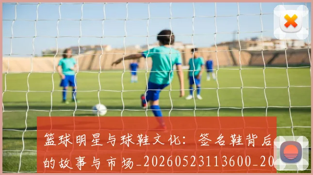篮球明星与球鞋文化：签名鞋背后的故事与市场_20260523113600_20260804164125