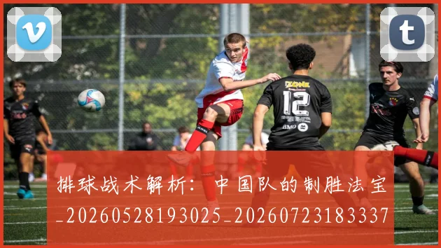 排球战术解析：中国队的制胜法宝_20260528193025_20260723183337